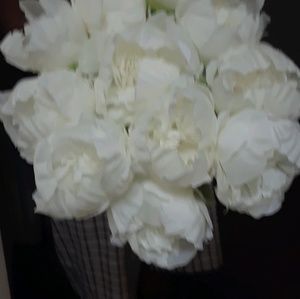 Meet your Posher, Robin